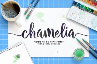 Chamelia: Elevating Designs with Handwritten Charm