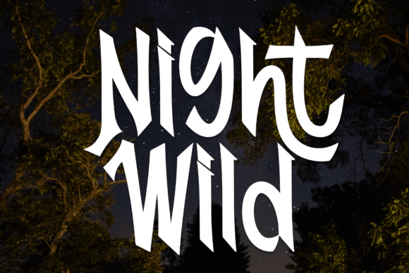 Night Wild: A Playful Handwritten Font for Modern Design